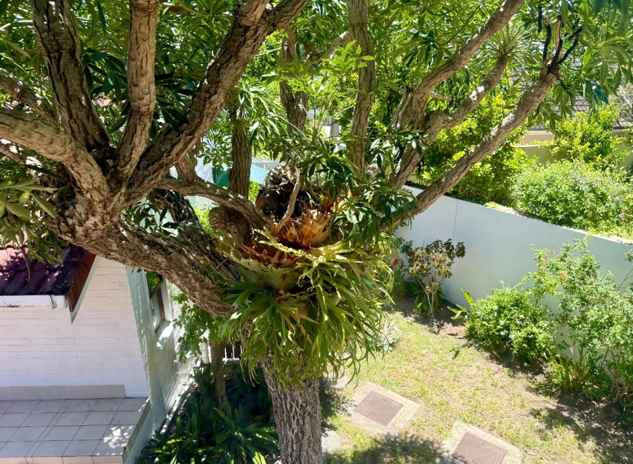 6 Bedroom Property for Sale in Leisure Isle Western Cape